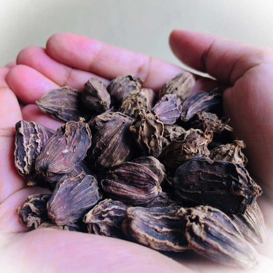 Black Cardamom