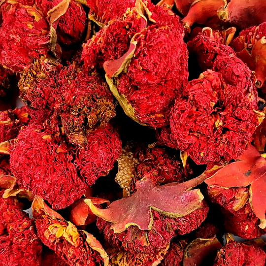 Fresh Pomegranate Dried Flowers