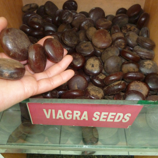 Original Viagra Seeds